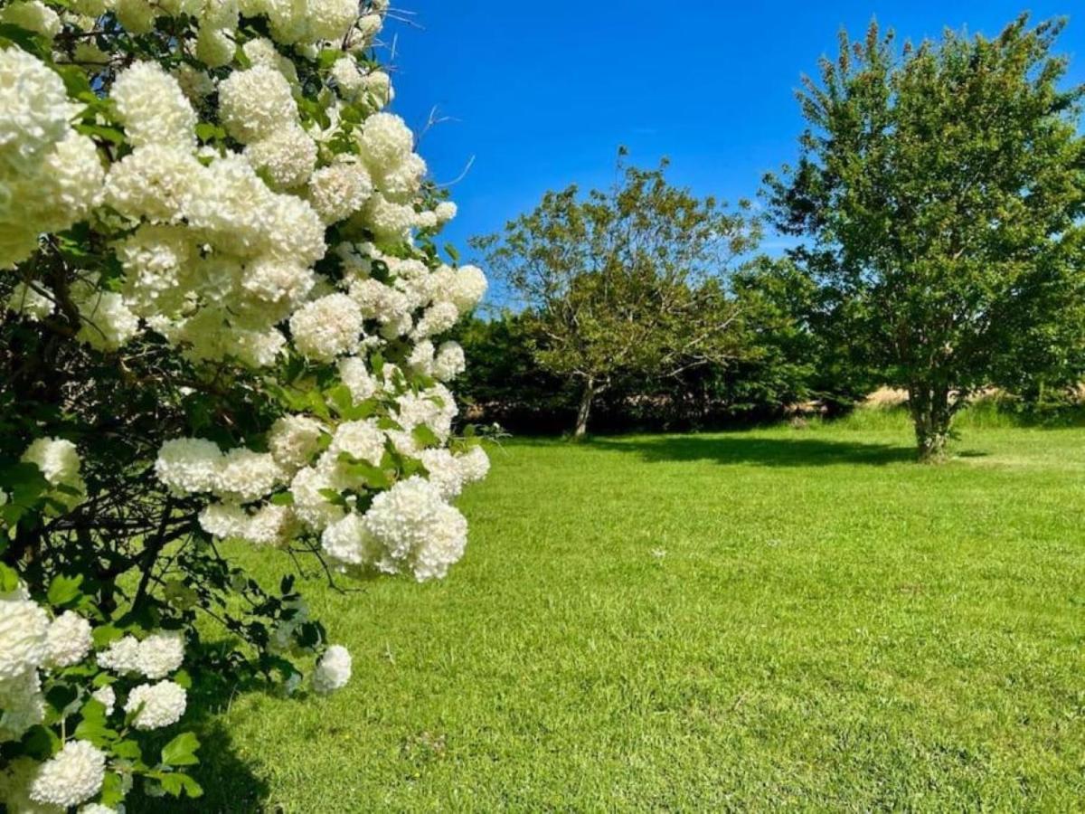 La Ferme Du Bois De Plottes Bed & Breakfast エクステリア 写真