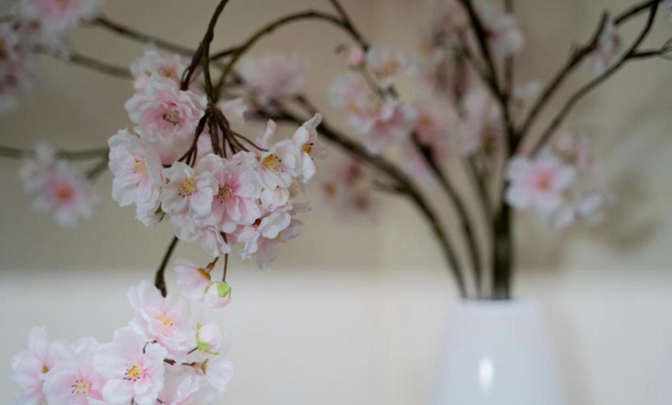 La Ferme Du Bois De Plottes Bed & Breakfast エクステリア 写真